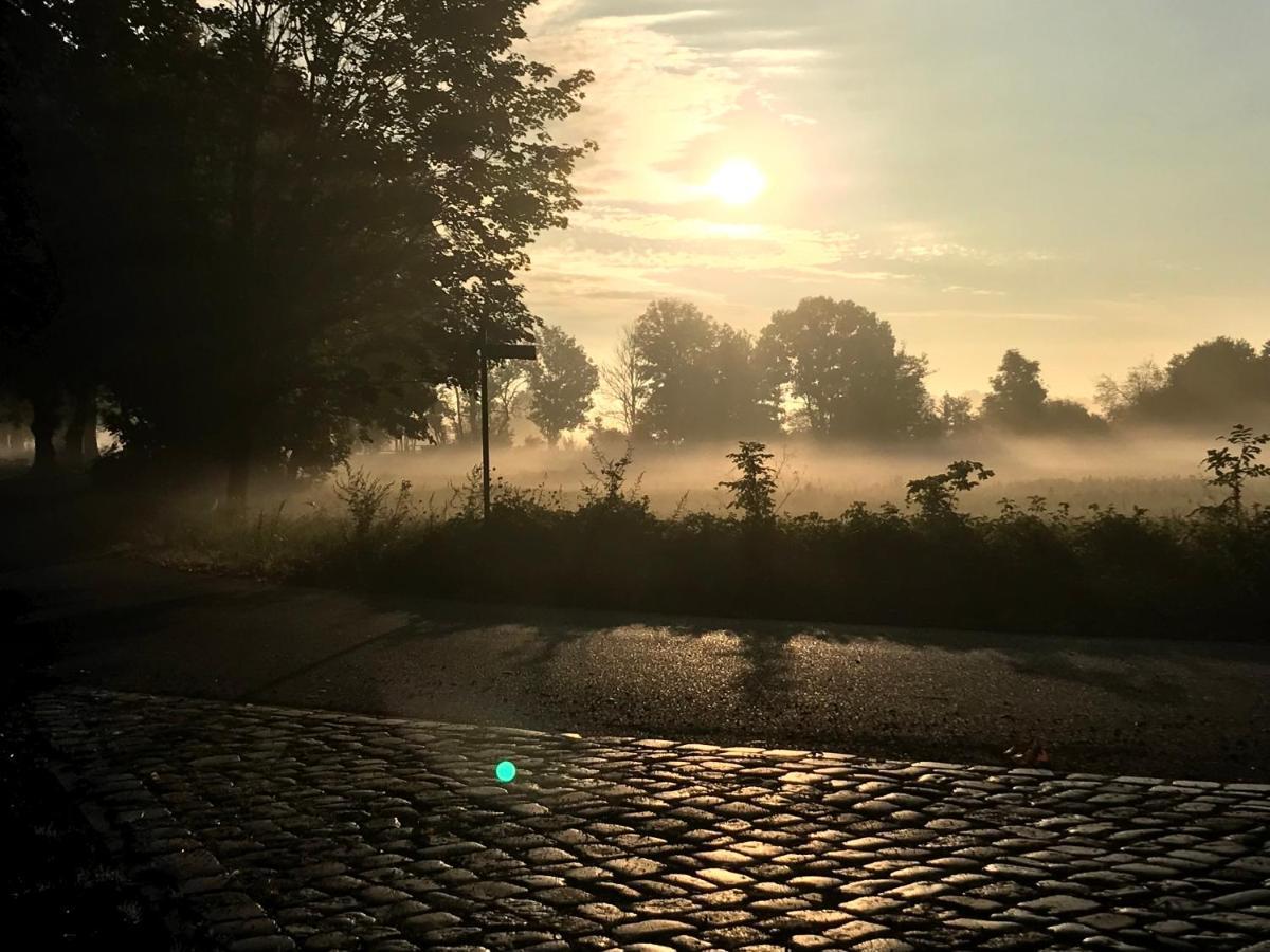 Eichenhof Hotel Garni Groß Köris Exteriör bild