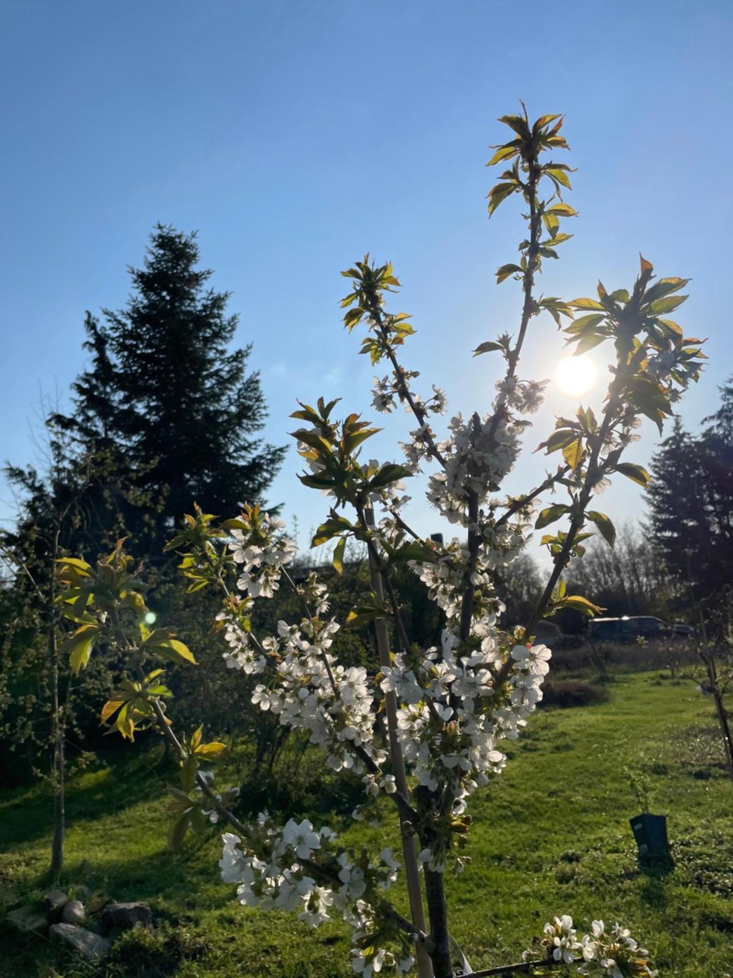 Eichenhof Hotel Garni Groß Köris Exteriör bild