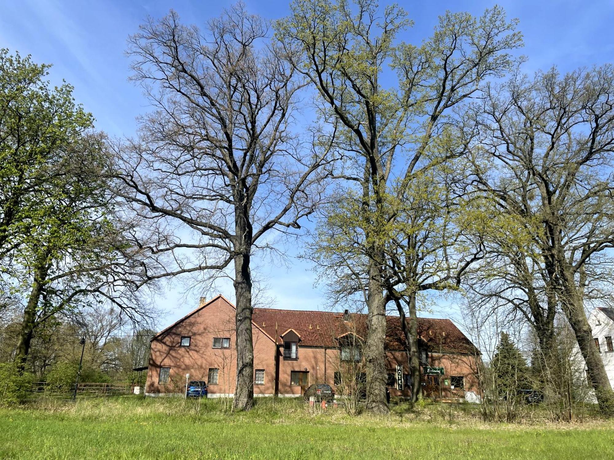 Eichenhof Hotel Garni Groß Köris Exteriör bild